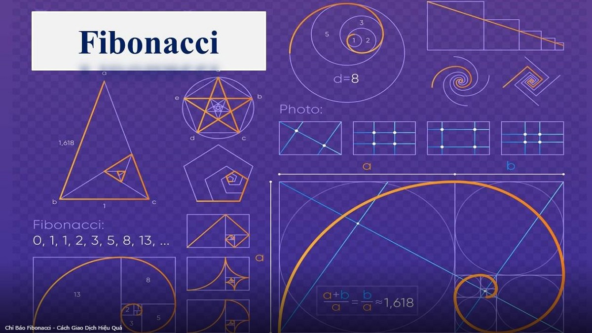 Fibonacci là gì? Ứng dụng dãy số Fibonacci & tỷ lệ vàng trong forex