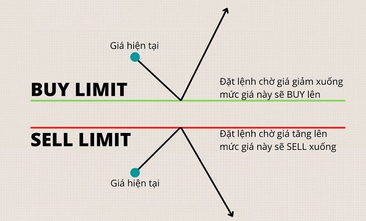 lenh limit
