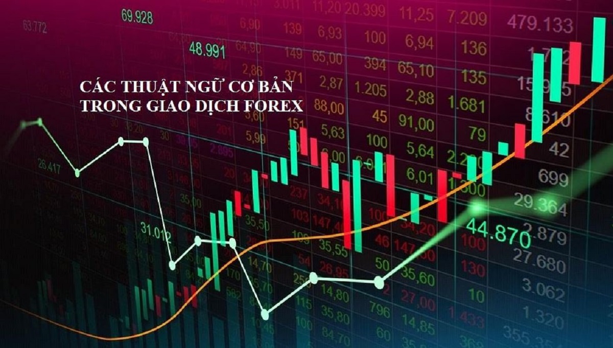 Các thuật ngữ trong forex quan trọng trader cần biết