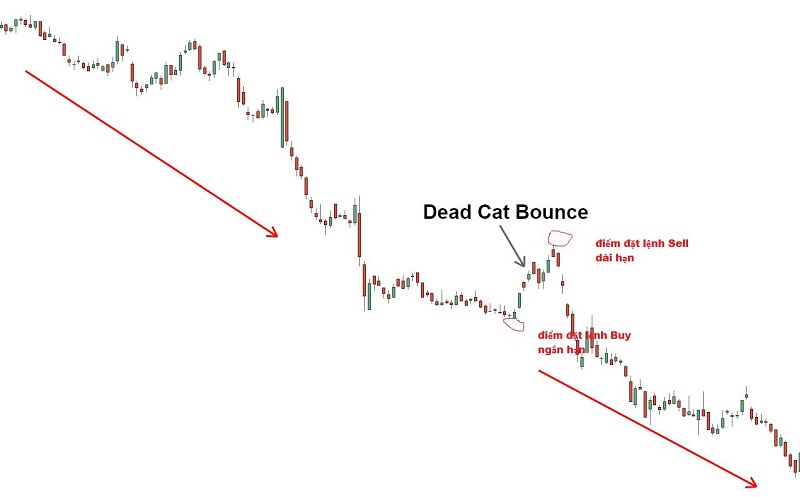 cach giao dich voi Dead Cat Bounce
