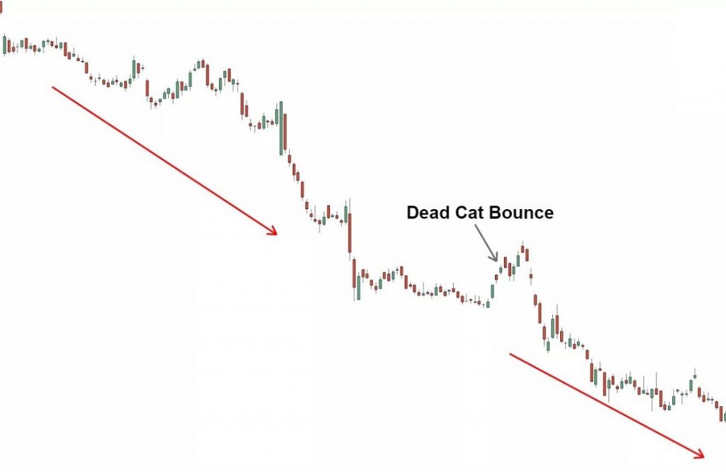 Dead Cat Bounce la gi